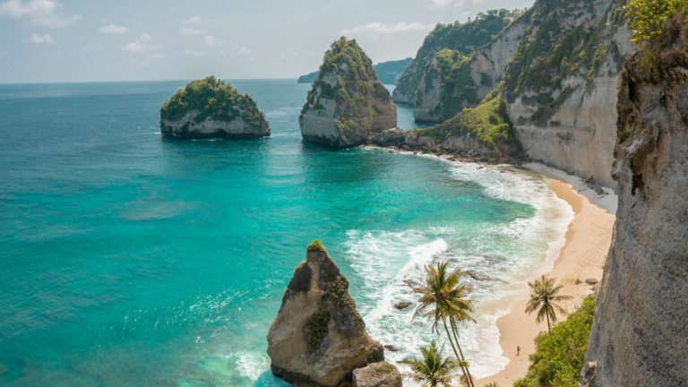 Pickleball in Bali — The Ultimate Travel Guide for the Serious Player